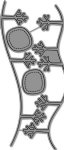 Lawn Fawn - Dies - Stitched Tree Borders