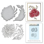 Spellbinders - Stamp & Die Set - Chrysanthemum