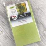 The Paper Cut - Scallop Oval Swingin Z-Fold Card  - Sour Apple