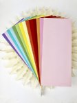 Picket Fence Studios - Slim Line Envelopes - Rainbow