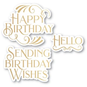 Poppystamps - Hot Foil Plate & Die Set - Birthday Wishes Poe Script