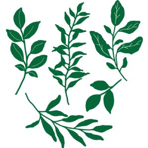 Prism Studio - Die - Essential Greenery