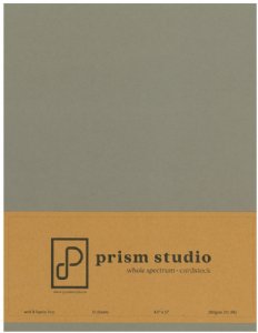 Prism - 8.5X11 Cardstock - Silverleaf Willow