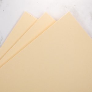 Prism - 8.5x11 Cardstock - Apricot Zinnia
