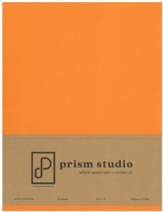 Prism - 8.5X11 Cardstock - Bird of Paradise