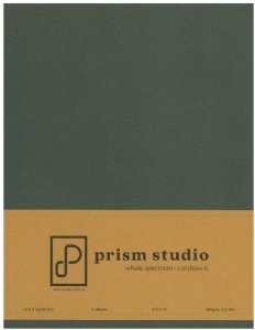 Prism - 8.5X11 Cardstock - Southern Moss
