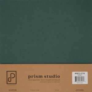 Prism Studio - 12X12 Whole Spectrum Heavyweight Cardstock - Balsam (25 Sheets)