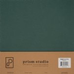 Prism Studio - 12X12 Whole Spectrum Heavyweight Cardstock - Balsam (25 Sheets)