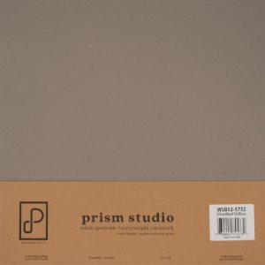 Prism Studio - 12X12 Whole Spectrum Heavyweight Cardstock - Silverleaf Willow (25 Sheets)