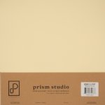 Prism Studio - 12X12 Whole Spectrum Heavyweight Cardstock - Mojave Yucca (25 Sheets)