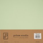 Prism Studio - 12X12 Whole Spectrum Heavyweight Cardstock - Echeveria (25 Sheets)