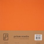 Prism Studio - 12X12 Whole Spectrum Heavyweight Cardstock - Bird of Paradise (25 Sheets)