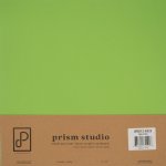 Prism Studio - 12X12 Whole Spectrum Heavyweight Cardstock - Opuntia (25 Sheets)