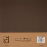 Prism Studio - 12X12 Whole Spectrum Heavyweight Cardstock - Bulrush (25 Sheets)
