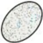 Ranger - Embossing Powder - Snowflake Tinsel