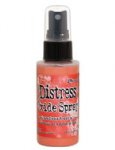 Tim Holtz - Distress Oxide Spray - Abandoned Coral