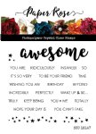 Paper Rose - Clear Stamps - Awesome Words