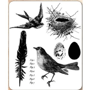 Tim Holtz Stamp - Cling - Bird Feather