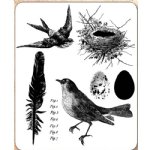 Tim Holtz Stamp - Cling - Bird Feather