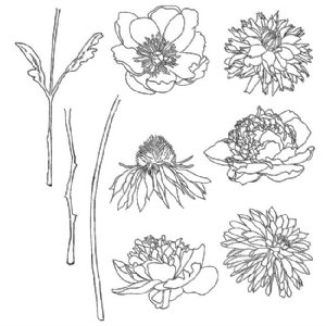 Tim Holtz Stamp - Cling - Flower Garden