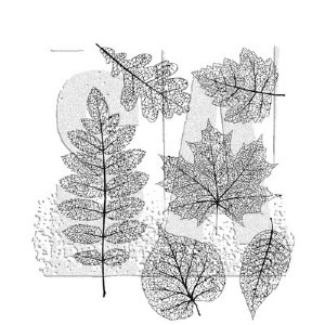 Tim Holtz - Cling Stamp - Pressed Foliage