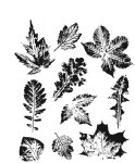 Tim Holtz - Cling Stamp - Leaf Prints 2