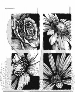Tim Holtz - Cling Stamp - Bold Botanicals