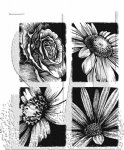 Tim Holtz - Cling Stamp - Bold Botanicals