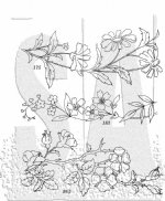 Tim Holtz - Cling Stamp - Embroidery