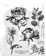 Tim Holtz - Cling Stamp - French Garden
