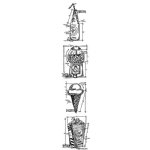 Tim Holtz - Strip Stamp - Treats