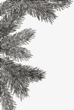Tim Holtz - Embossing Folder - Pine Branches