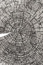 Tim Holtz - Embossing Folder - Tree Rings