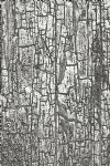 Tim Holtz - Embossing Folder - Cracked