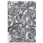 Tim Holtz - 3D Embossing Folder - Large/A5 - Entangled