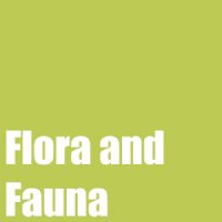 Flora and Fauna