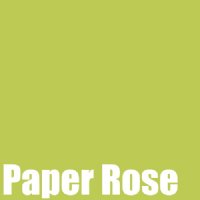 Paper Rose