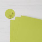 Spellbinders - 8.5X11 Cardstock - Peridot