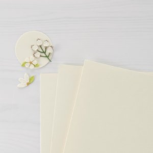 Spellbinders - 8.5X11 Cardstock - Alabaster