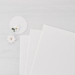 Spellbinders - 8.5X11 Cardstock - Snowdrift