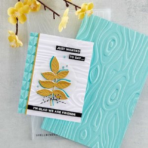 3D Embossing Folder - Knock on Wood