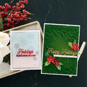 Spellbinders - 3D Embossing Folder - Flurry of Snowflakes