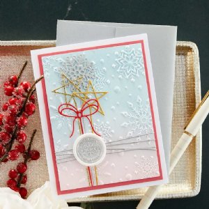 Spellbinders - 3D Embossing Folder - Flurry of Snowflakes