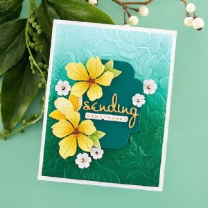 Spellbinders - 3D Embossing Folder - Four Petal Floral