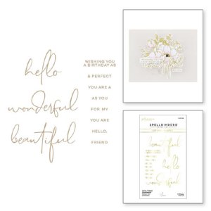 Spellbinders - Glimmer Hot Foil Plate - Anemone Blooms - Hello, Friend Sentiments