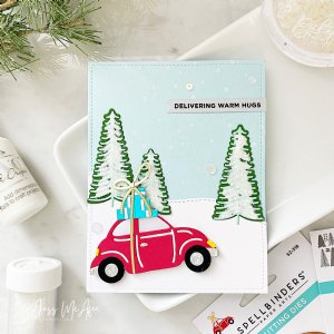 Spellbinders - Die - Tis the Season - Special Delivery