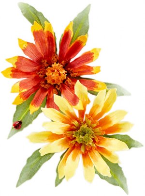 Spellbinders - Dies - Gaillardia