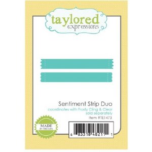 Taylored Expressions - Dies - Sentiment Strip Duo