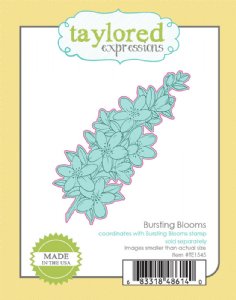 Taylored Expressions - Die - Bursting Blooms