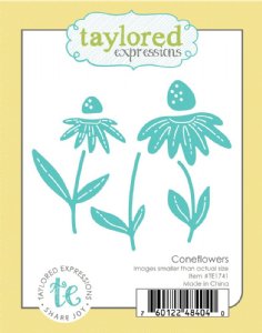 Taylored Expressions - Die - Coneflowers